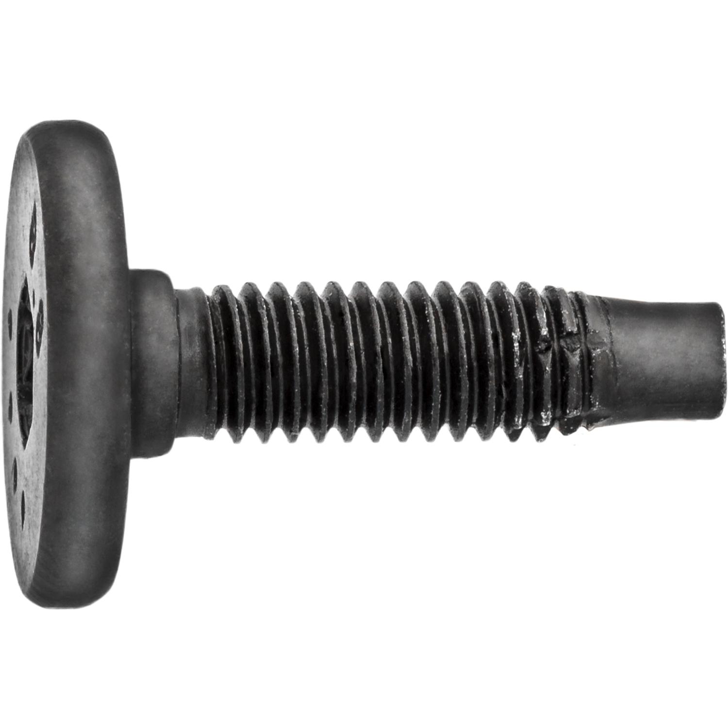 ford m6-1.0 x 22mm torx pan head body bolt